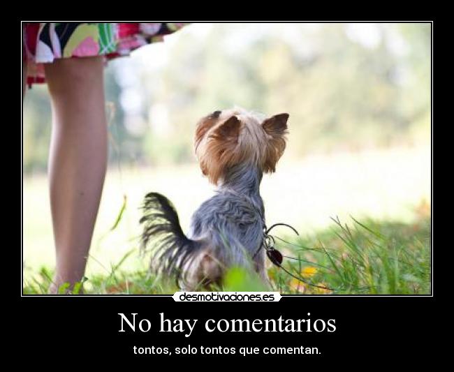 No hay comentarios -