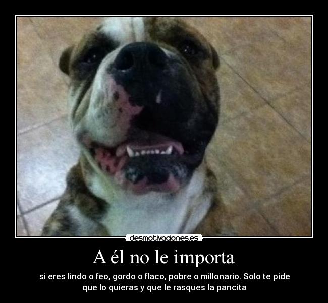 A él no le importa - 