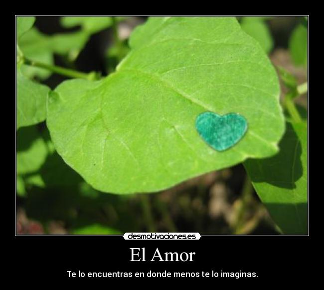 El Amor - 