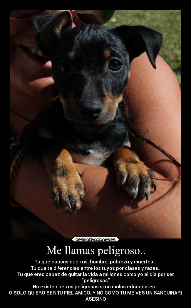 Me llamas peligroso.. -