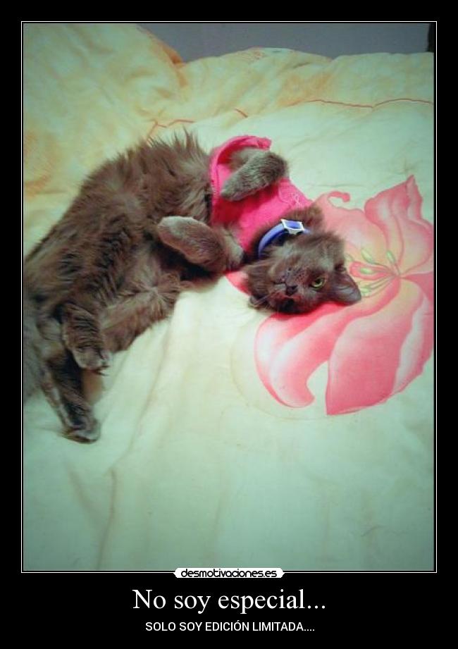 No soy especial... -