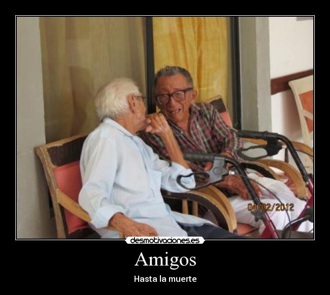 Amigos - 
