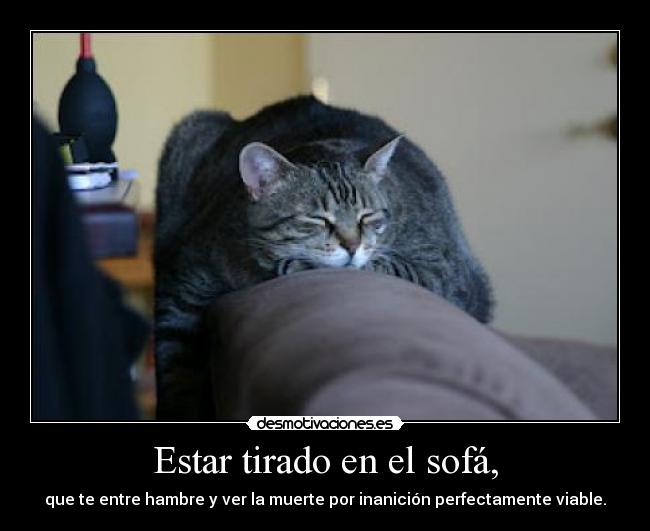 Estar tirado en el sofá, -