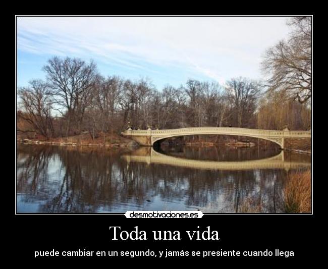 Toda una vida -