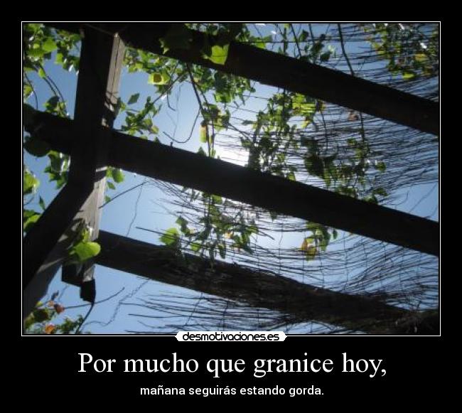 Por mucho que granice hoy, - mañana seguirás estando gorda.