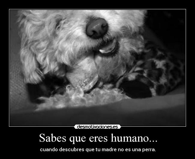 carteles retiro solo conozco salida jojojo love love love desmotivaciones