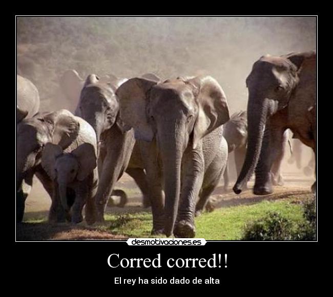 Corred corred!! - 