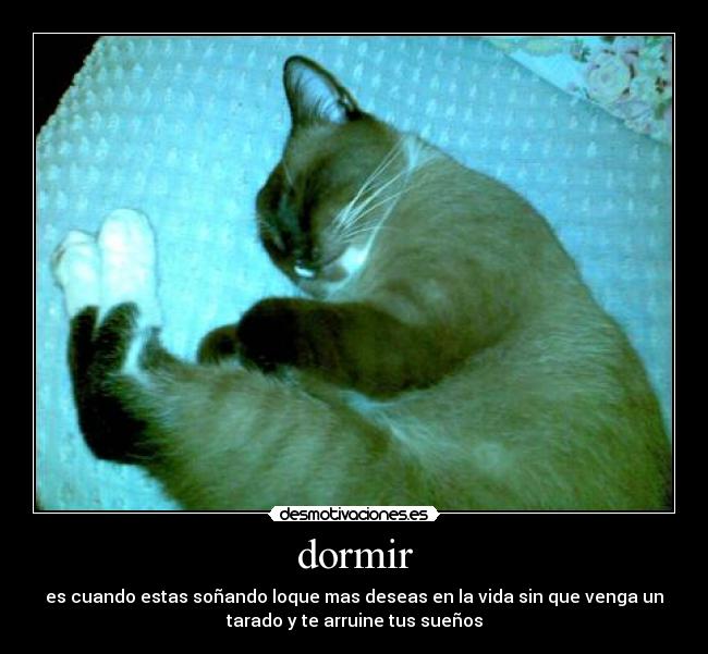 carteles dormir logan43 desmotivaciones