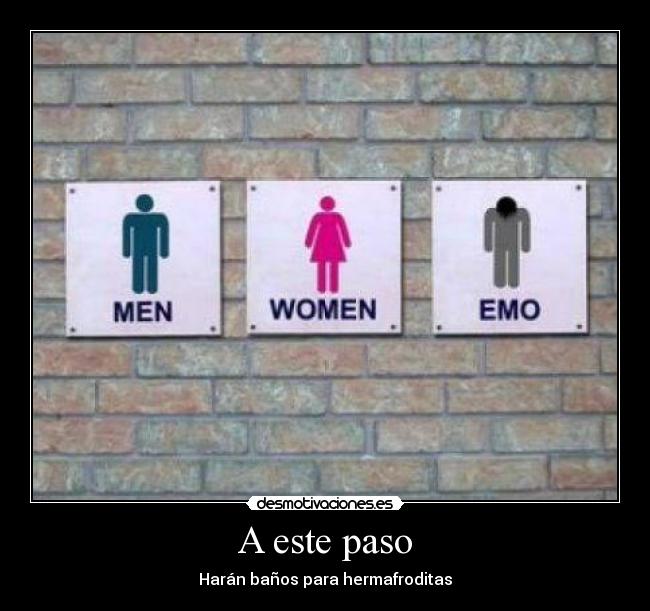 A este paso - Harán baños para hermafroditas