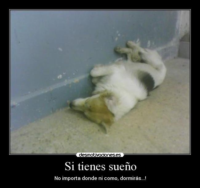 Si tienes sueño - 