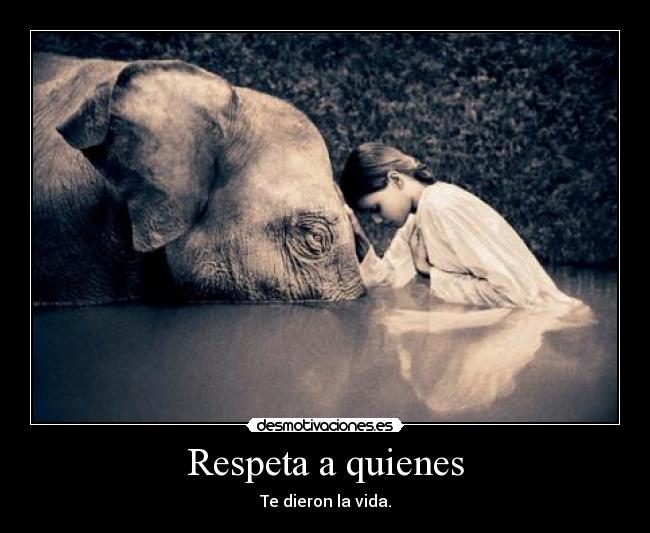 Respeta a quienes -