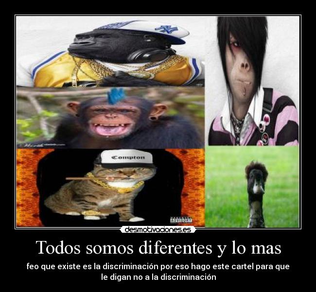carteles dile discriminacion mas feo que puede existir desmotivaciones