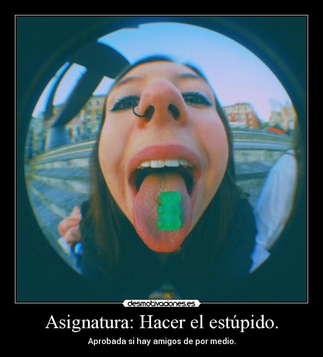 Asignatura: Hacer el estúpido. - Aprobada si hay amigos de por medio.