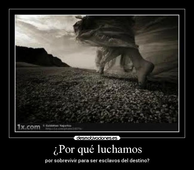 ¿Por qué luchamos - por sobrevivir para ser esclavos del destino?