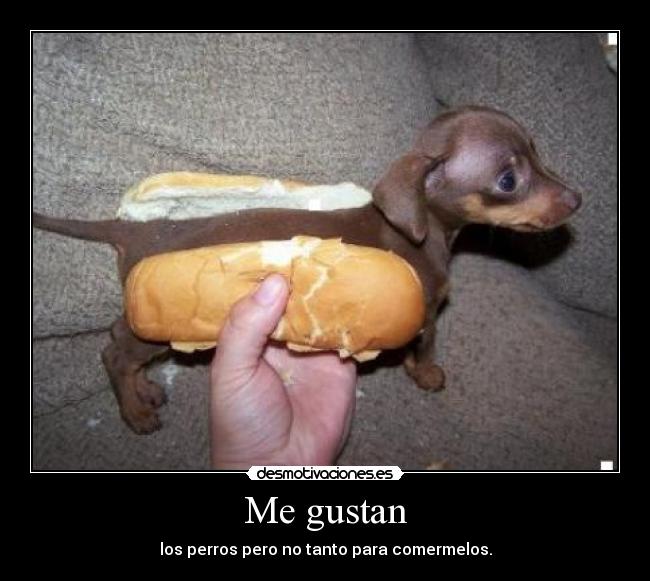 Me gustan - los perros pero no tanto para comermelos.