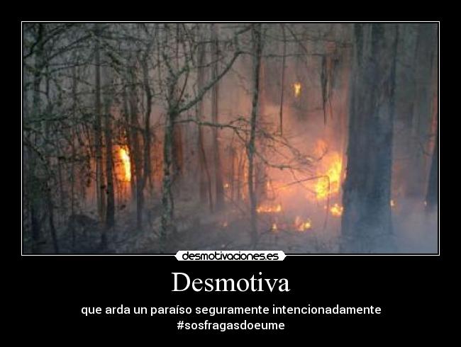 Desmotiva - que arda un paraíso seguramente intencionadamente
#sosfragasdoeume
