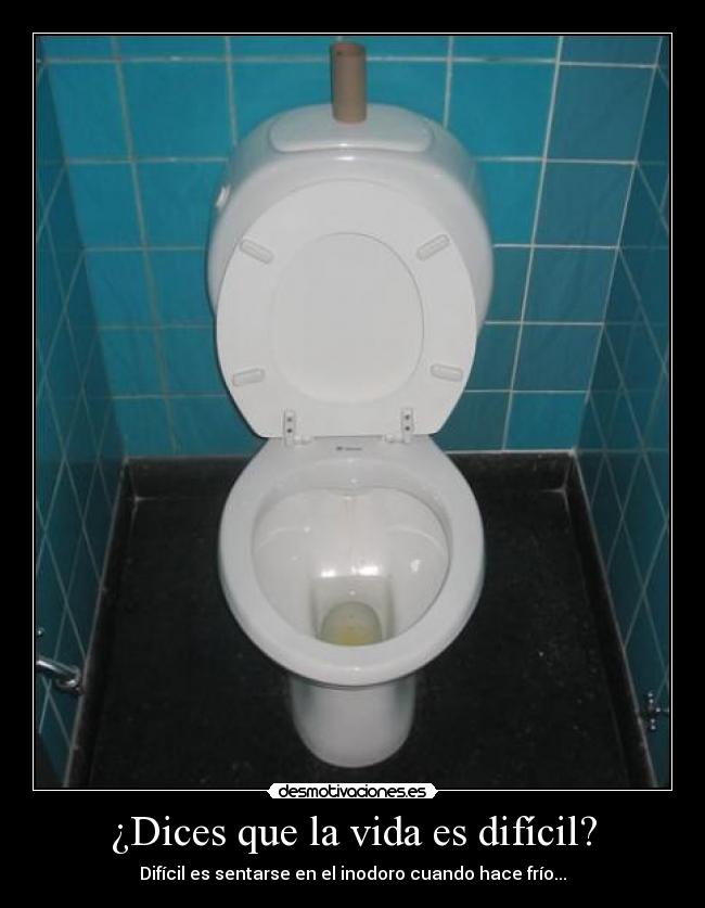 ¿Dices que la vida es difícil? - Difícil es sentarse en el inodoro cuando hace frío...