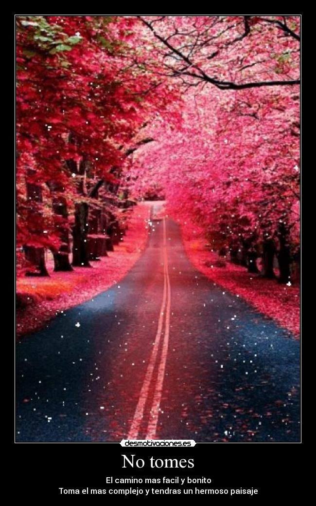 No tomes - El camino mas facil y bonito
Toma el mas complejo y tendras un hermoso paisaje