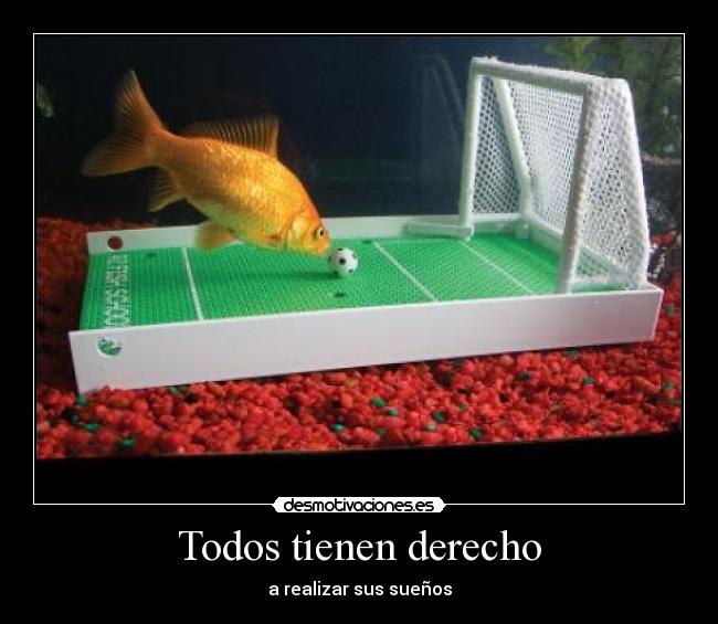 Todos tienen derecho - 