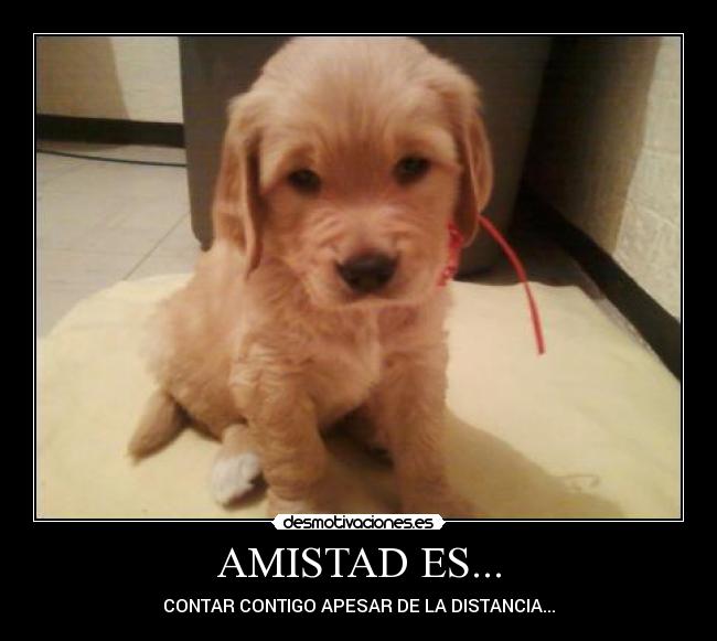 AMISTAD ES... - CONTAR CONTIGO APESAR DE LA DISTANCIA...