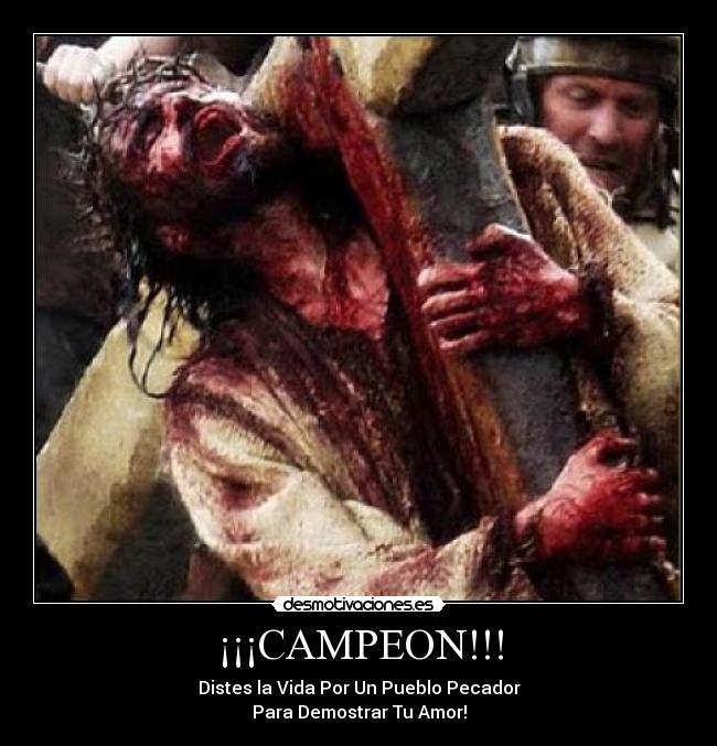 ¡¡¡CAMPEON!!! -