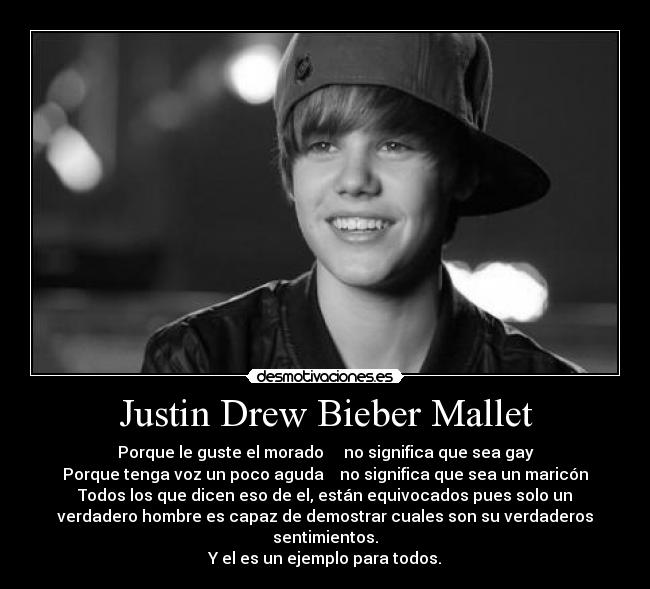 Justin Drew Bieber Mallet -