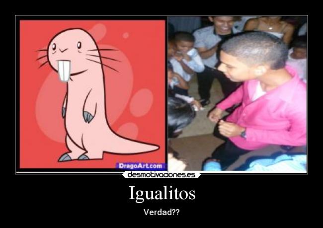 Igualitos - Verdad??