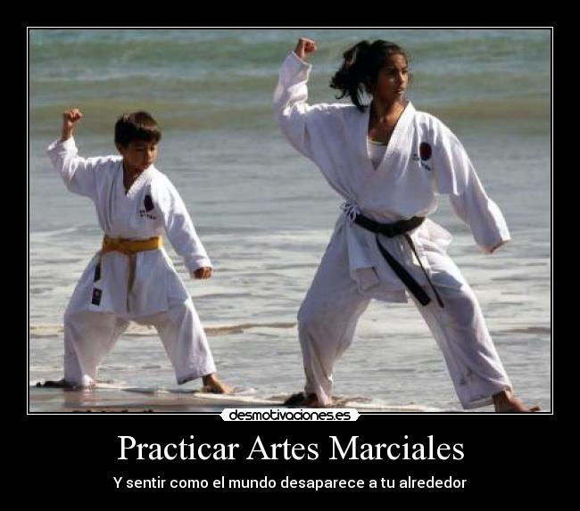 Practicar Artes Marciales -