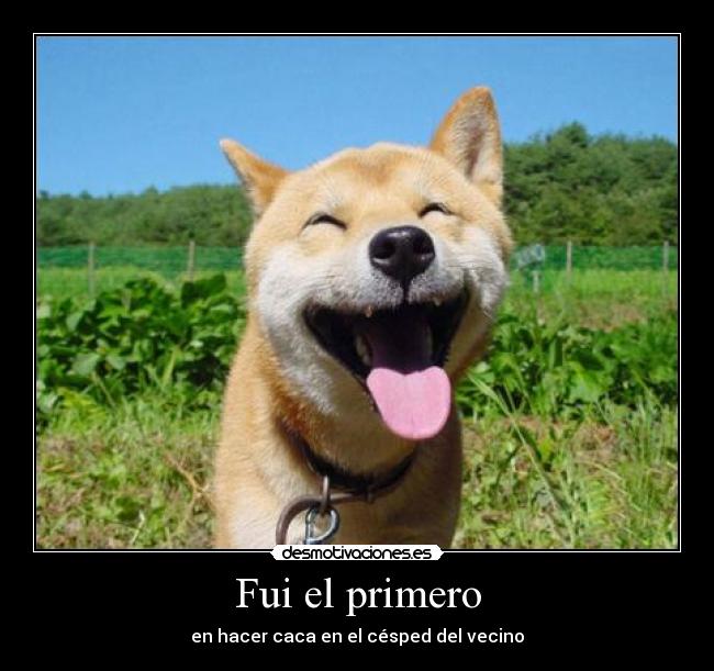 carteles vanete desmotivaciones