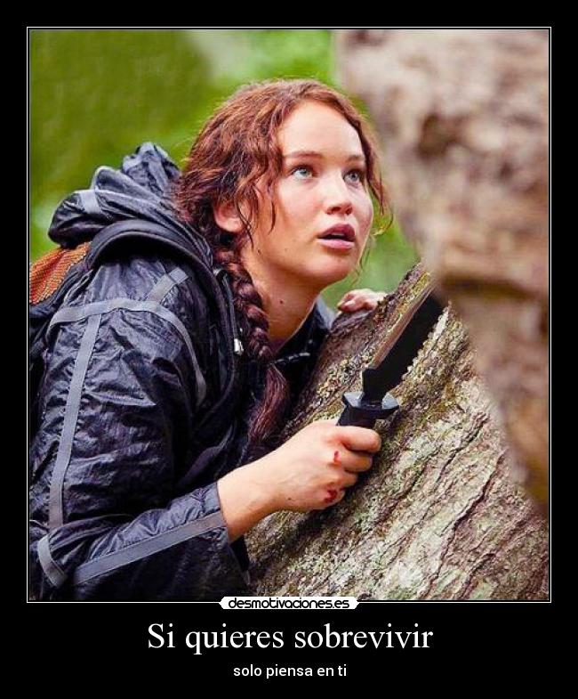 carteles los juegos del hambre nayra katniss desmotivaciones