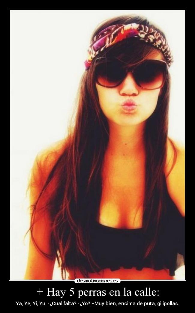 + Hay 5 perras en la calle: -