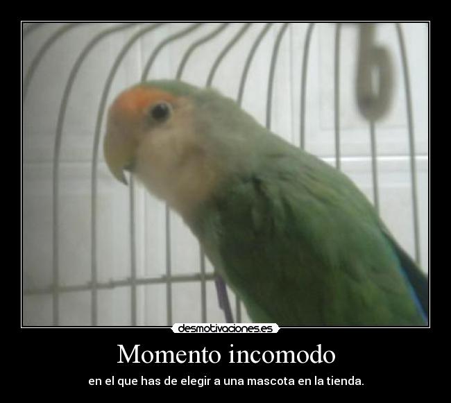 Momento incomodo -