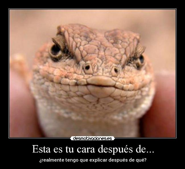 carteles esta cara despues realmente tengo explicar desmotivaciones