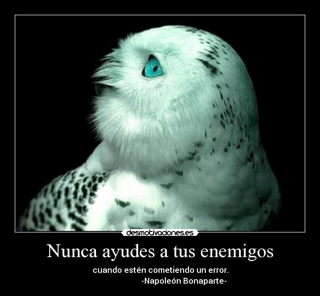 Nunca ayudes a tus enemigos - cuando estén cometiendo un error.
                        -Napoleón Bonaparte-