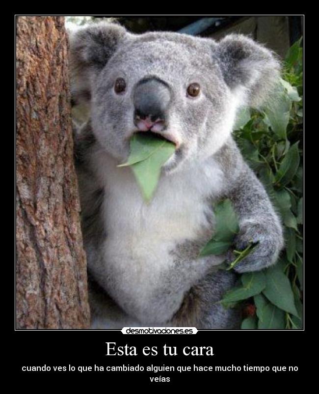 Esta es tu cara - cuando ves lo que ha cambiado alguien que hace mucho tiempo que no veías