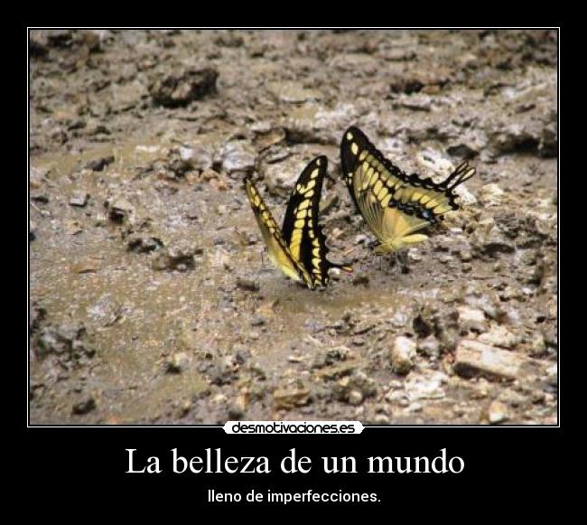 La belleza de un mundo -