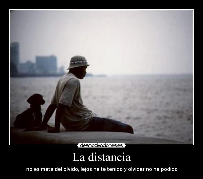 carteles distancia distancia desmotivaciones