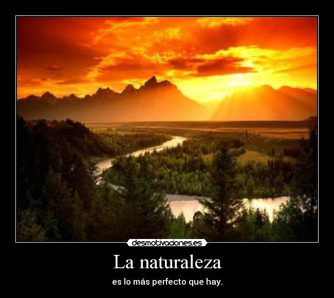La naturaleza - es lo más perfecto que hay.