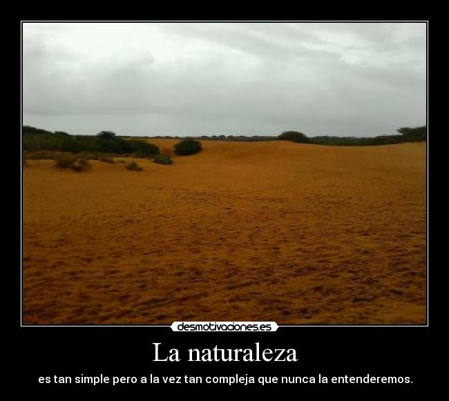 La naturaleza - es tan simple pero a la vez tan compleja que nunca la entenderemos.