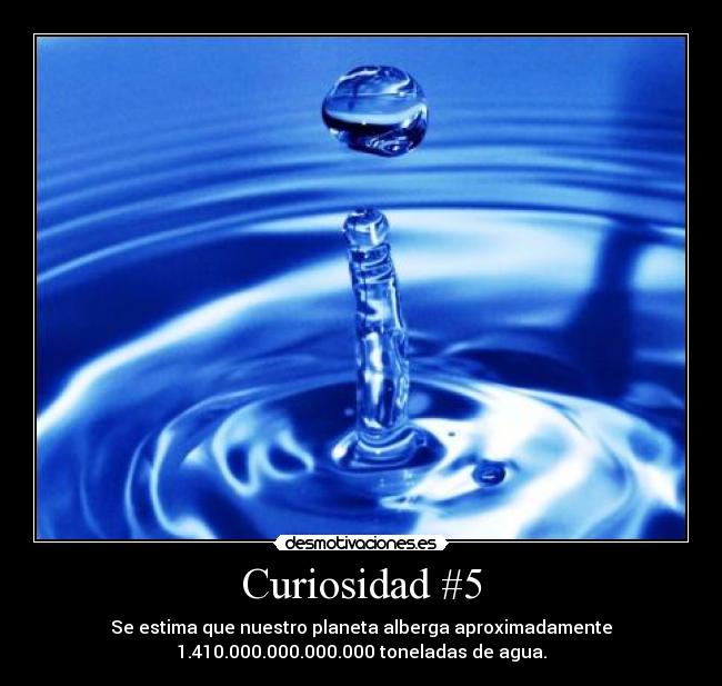 Curiosidad #5 - 