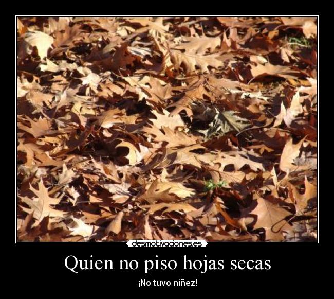 Quien no piso hojas secas -