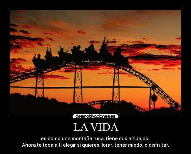 LA VIDA - es como una montaña rusa, tiene sus altibajos. 
Ahora te toca a ti elegir si quieres llorar, tener miedo, o disfrutar.