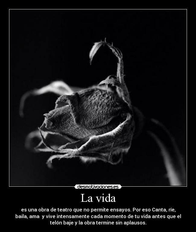 carteles vida vida una obra teatro que desmotivaciones