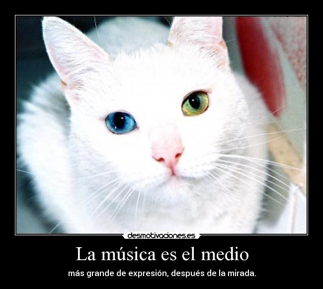 La música es el medio - 