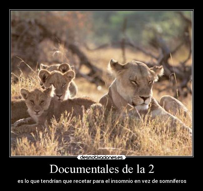Documentales de la 2 - es lo que tendrían que recetar para el insomnio en vez de somníferos