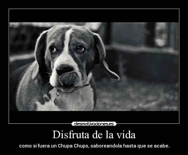 Disfruta de la vida - 