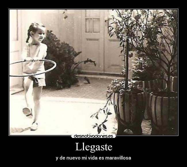 Llegaste -