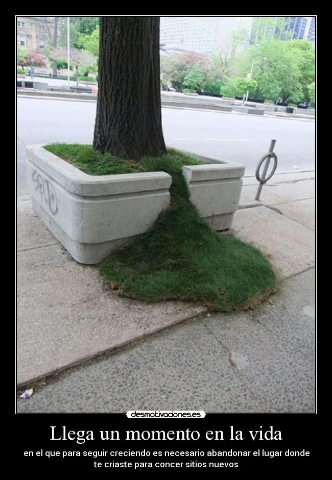 Llega un momento en la vida - 