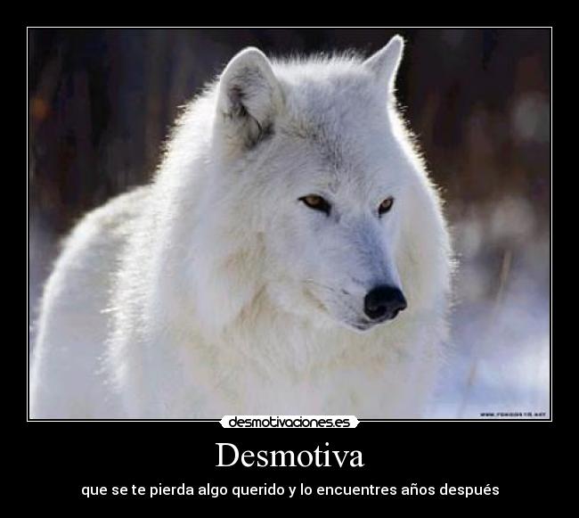 Desmotiva - que se te pierda algo querido y lo encuentres años después