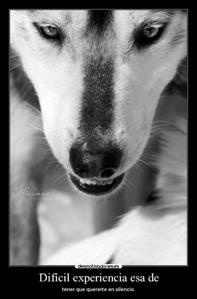 Difícil experiencia esa de -